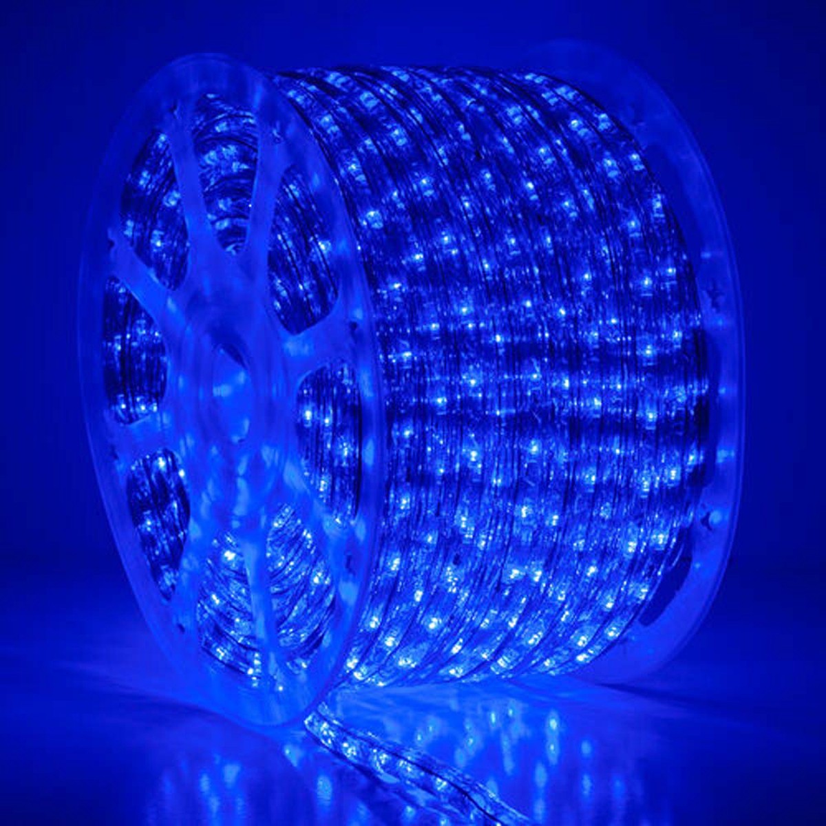 Wintergreen 150 ft Blue LED Rope Light 2-Wire