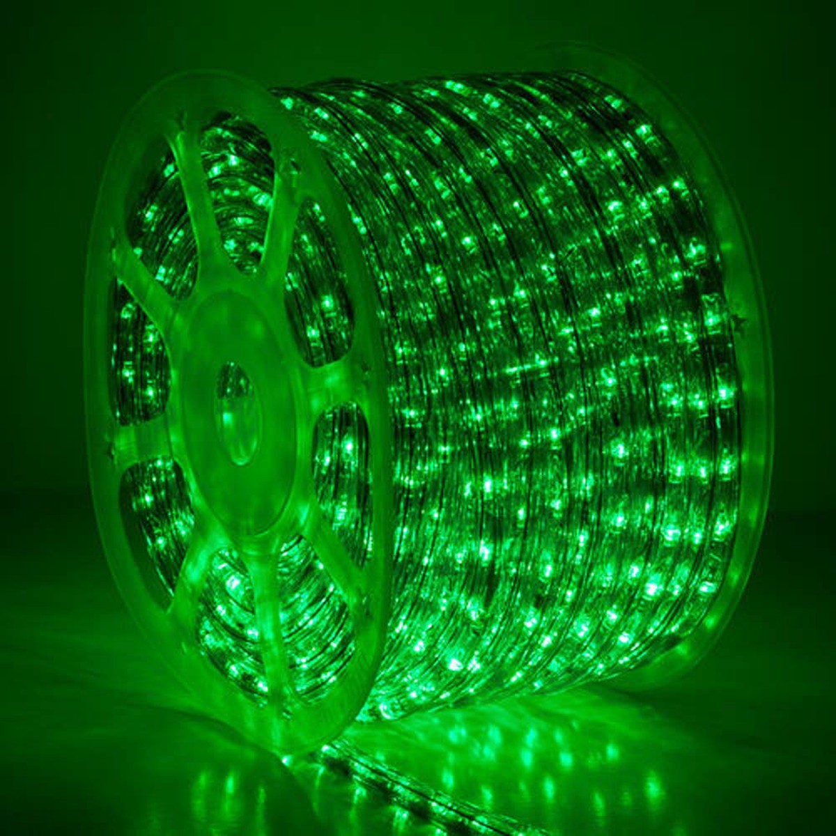 Wintergreen 150 ft Green LED Rope Light 2-Wire