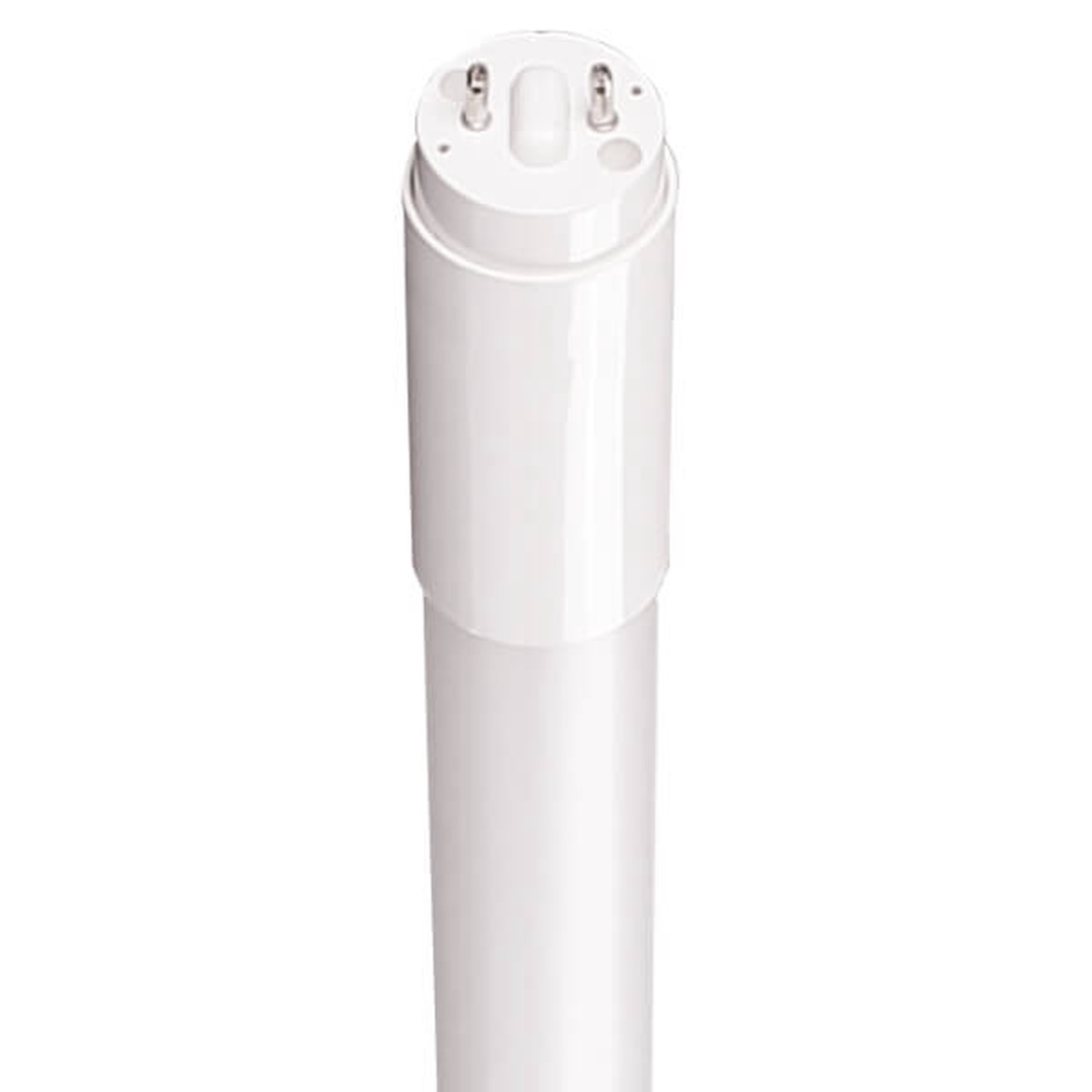 25Pk -  48in. Ushio 3000681 12.5W T8 UBIQUITY 2 LED T8 DW SD Daylight 5000K