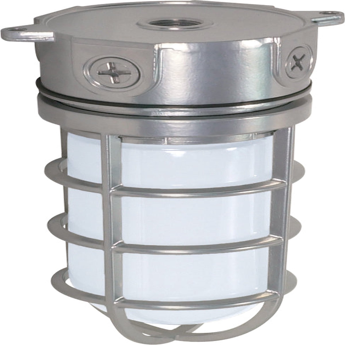 Nuvo 1-Light 100w 10