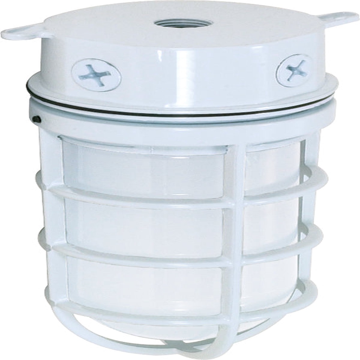 Nuvo 1-Light 100w 10