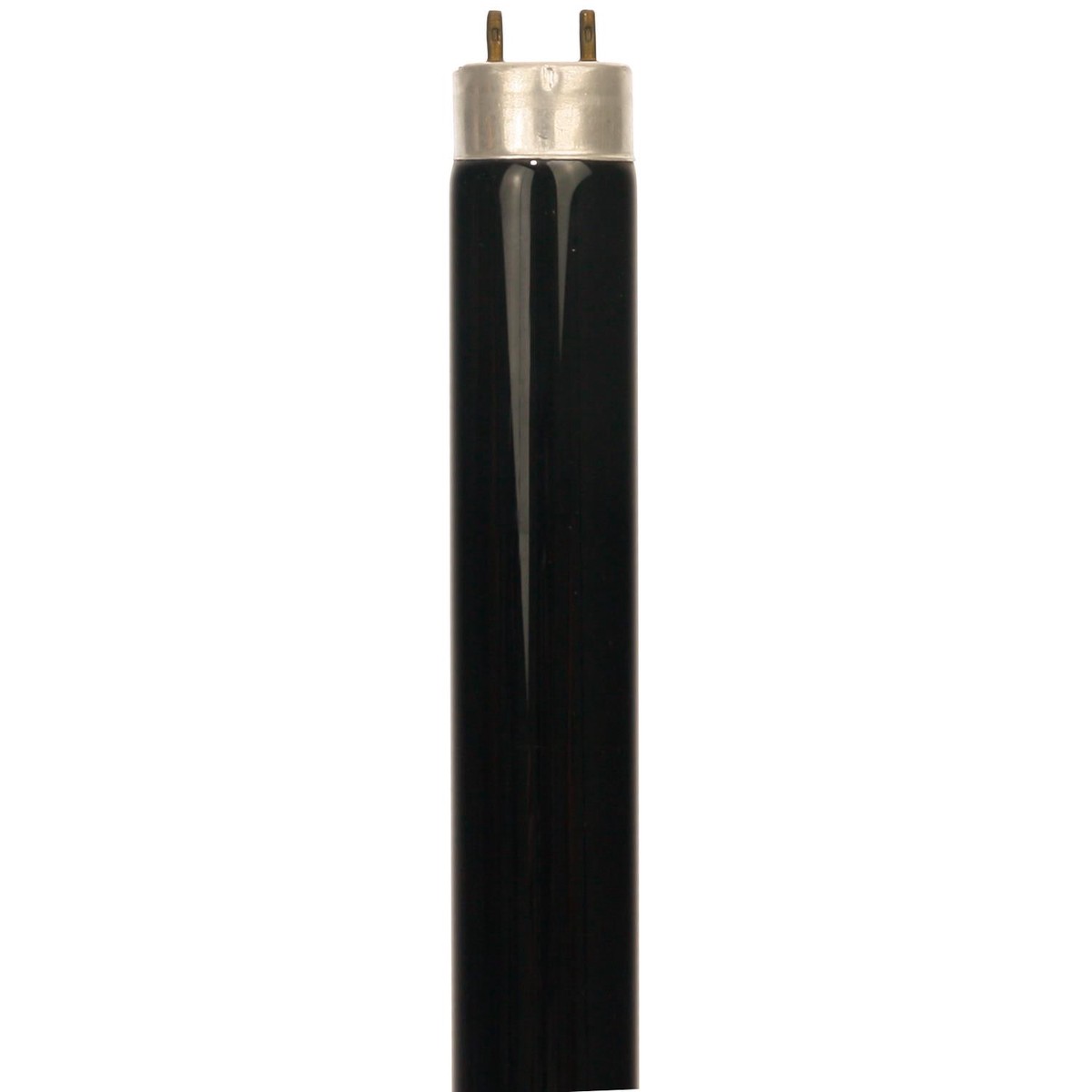 SUNLITE 10w 13.5in T8 Black Light Blue Straight Tube G13 base Bulb