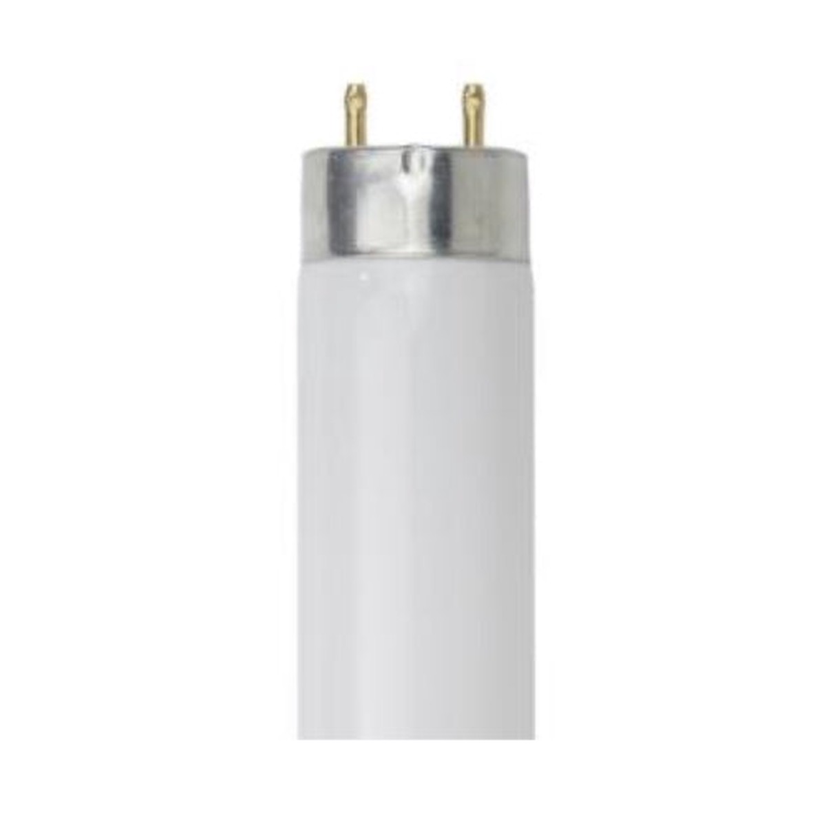 Sunlite 15W 18 inch Cool White 4100K Fluorescent Tube Bulb - F15T8/CW
