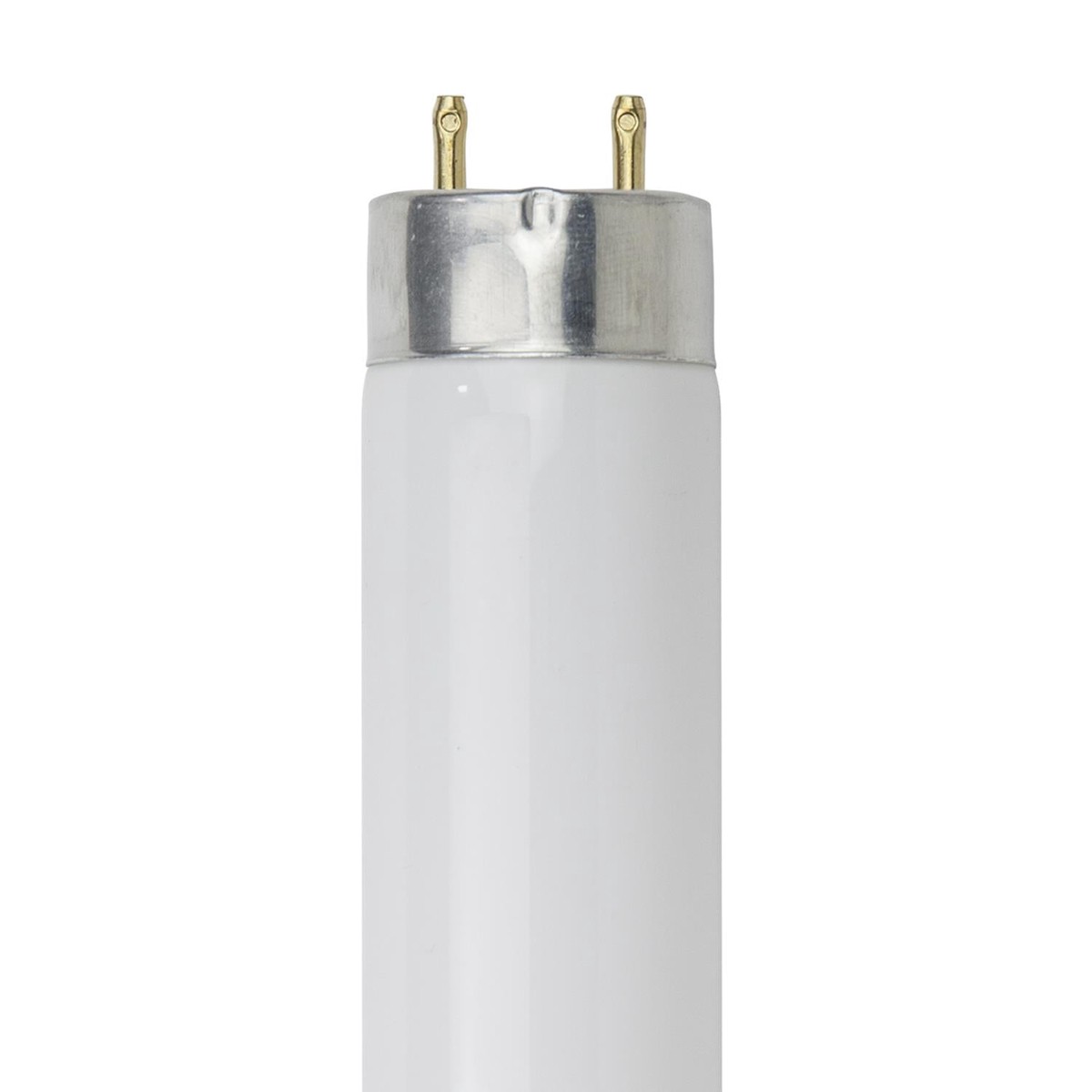 SUNLITE 25w T8 High Performance Straight Tube G13 Medium Bi-Pin 3000K Warm White